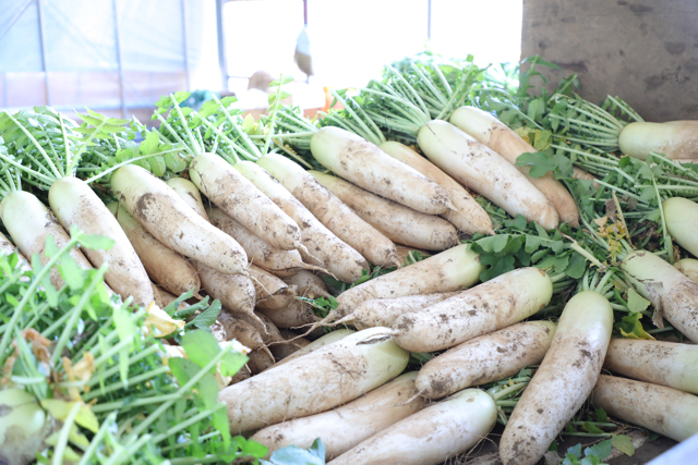 野菜の紹介